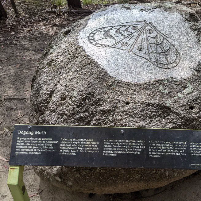 Jalan-jalan di Tidbinbilla Natural Reserve di Canberra, Australia