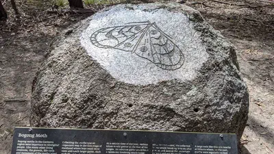 Jalan-jalan di Tidbinbilla Natural Reserve di Canberra, Australia featured image